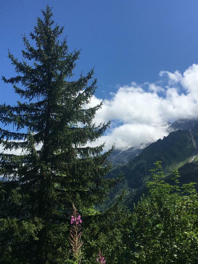 Apartamento Les Pierres Blanches Mont Blanc Les Contamines-Montjoie Exterior foto